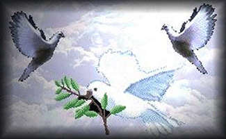 116789.gif