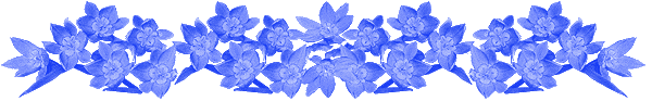 9.gif
