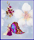bg4111.gif
