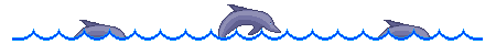 dolphinln.gif