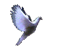 doveleft.gif
